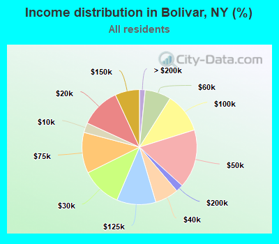 Income distribution in Bolivar, NY (%)