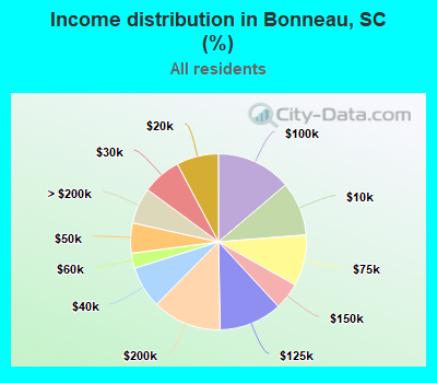 Income distribution in Bonneau, SC (%)