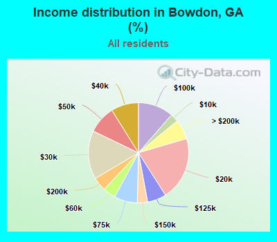 Income distribution in Bowdon, GA (%)