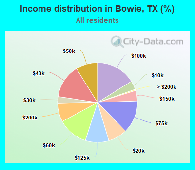 Income distribution in Bowie, TX (%)