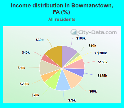 Income distribution in Bowmanstown, PA (%)