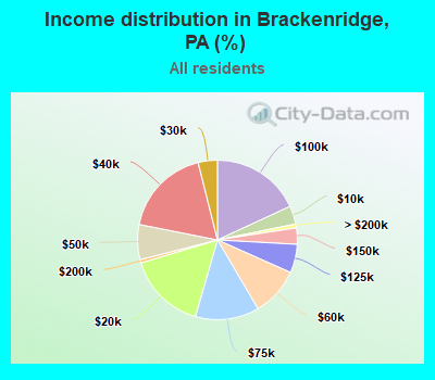 Income distribution in Brackenridge, PA (%)