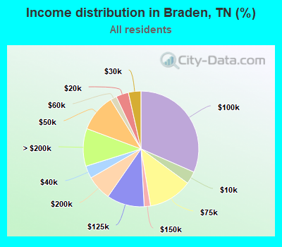 Income distribution in Braden, TN (%)