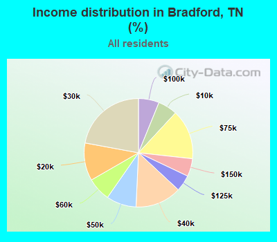 Income distribution in Bradford, TN (%)