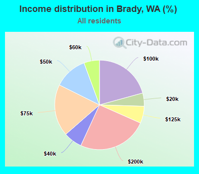 Income distribution in Brady, WA (%)