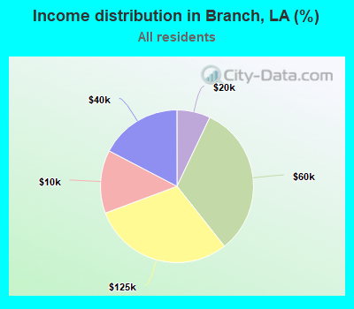 Income distribution in Branch, LA (%)