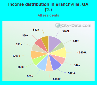 Income distribution in Branchville, GA (%)