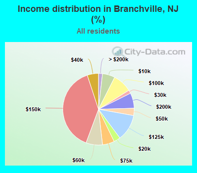 Income distribution in Branchville, NJ (%)