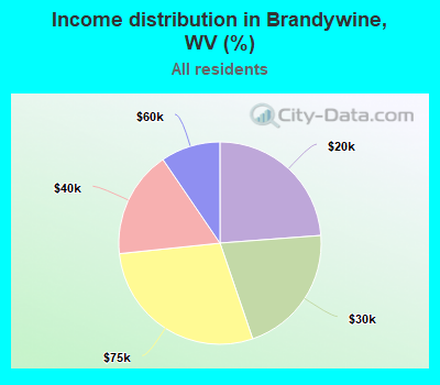 Income distribution in Brandywine, WV (%)