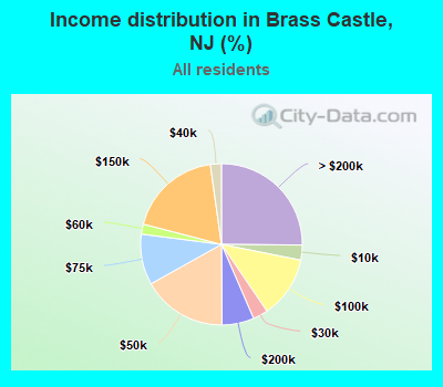 Income distribution in Brass Castle, NJ (%)