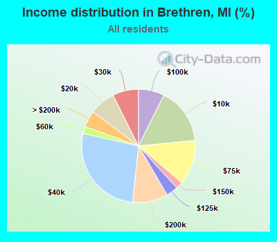 Income distribution in Brethren, MI (%)