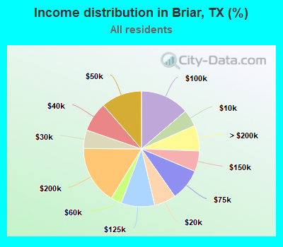 Income distribution in Briar, TX (%)