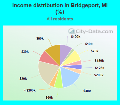 Income distribution in Bridgeport, MI (%)