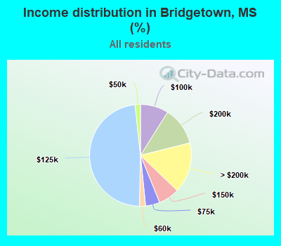 Income distribution in Bridgetown, MS (%)