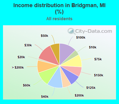 Income distribution in Bridgman, MI (%)
