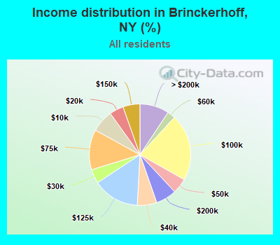 Income distribution in Brinckerhoff, NY (%)