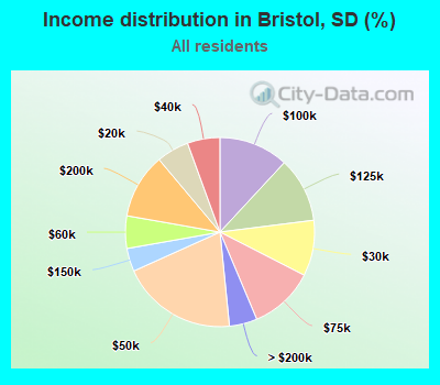 Income distribution in Bristol, SD (%)