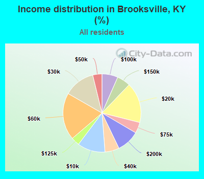 Income distribution in Brooksville, KY (%)