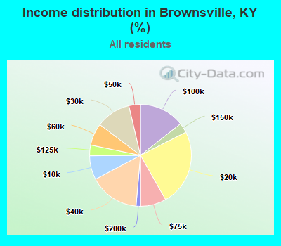 Income distribution in Brownsville, KY (%)