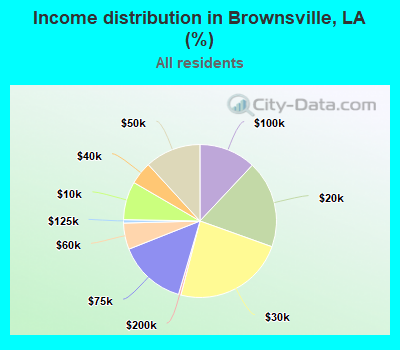 Income distribution in Brownsville, LA (%)