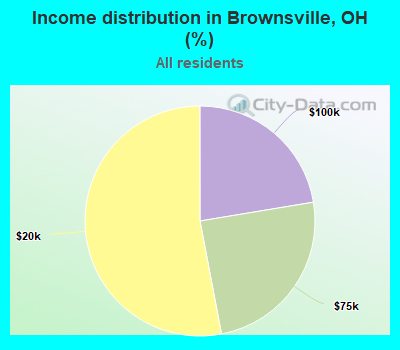 Income distribution in Brownsville, OH (%)