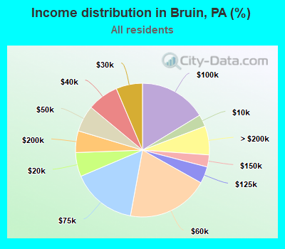 Income distribution in Bruin, PA (%)