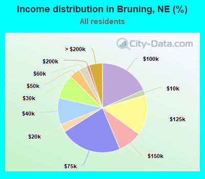 Income distribution in Bruning, NE (%)