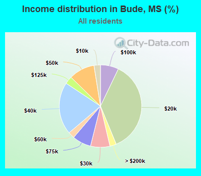 Income distribution in Bude, MS (%)