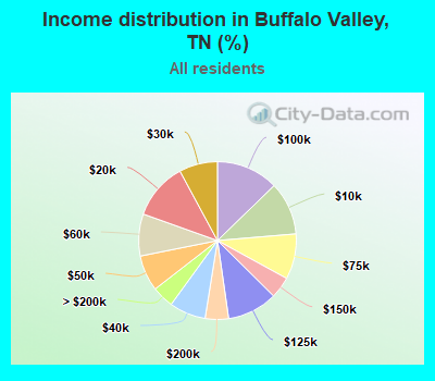 Income distribution in Buffalo Valley, TN (%)