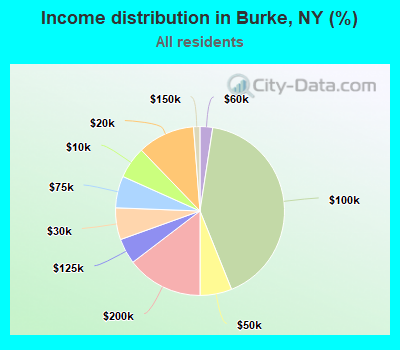 Income distribution in Burke, NY (%)