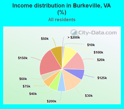 Income distribution in Burkeville, VA (%)