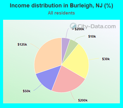 Income distribution in Burleigh, NJ (%)