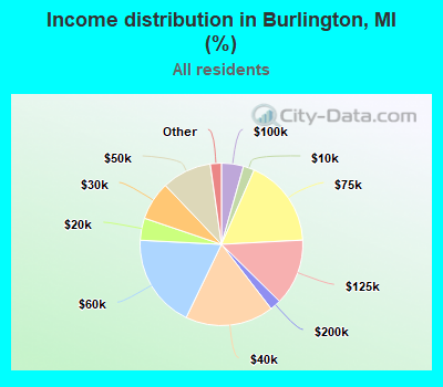 Income distribution in Burlington, MI (%)