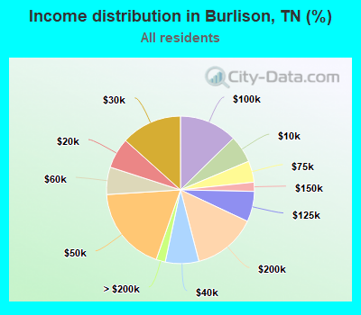 Income distribution in Burlison, TN (%)