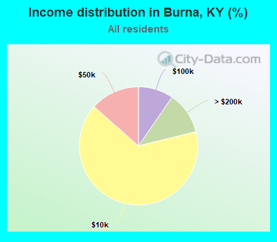 Income distribution in Burna, KY (%)