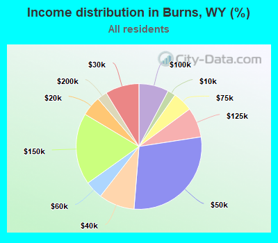 Income distribution in Burns, WY (%)