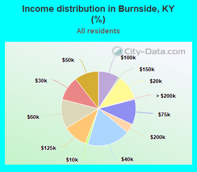 Income distribution in Burnside, KY (%)