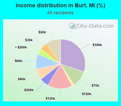 Income distribution in Burt, MI (%)