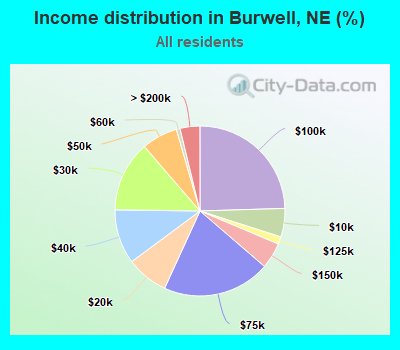 Income distribution in Burwell, NE (%)