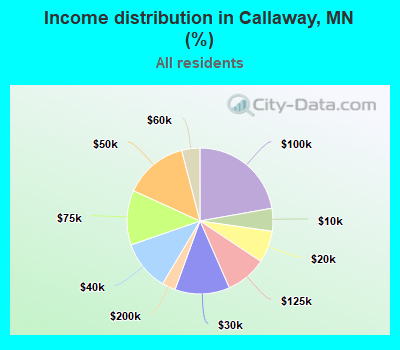 Income distribution in Callaway, MN (%)