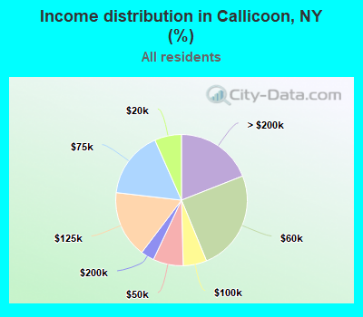 Income distribution in Callicoon, NY (%)
