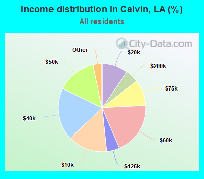 Income distribution in Calvin, LA (%)