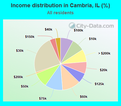 Income distribution in Cambria, IL (%)