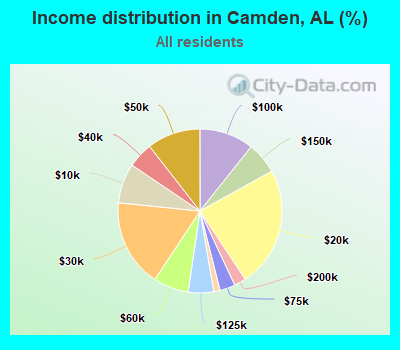 Income distribution in Camden, AL (%)