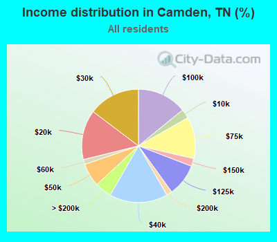 Income distribution in Camden, TN (%)