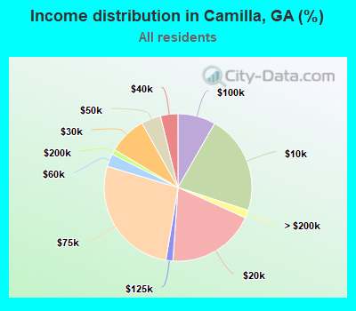 Income distribution in Camilla, GA (%)