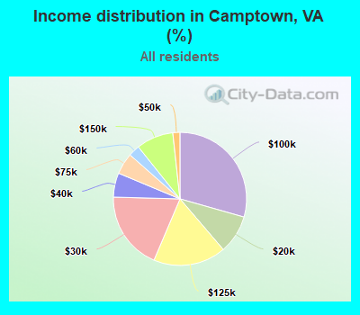 Income distribution in Camptown, VA (%)