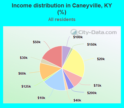 Income distribution in Caneyville, KY (%)