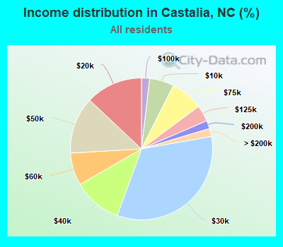 Income distribution in Castalia, NC (%)