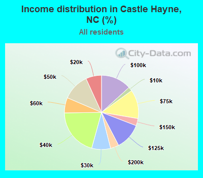 Income distribution in Castle Hayne, NC (%)